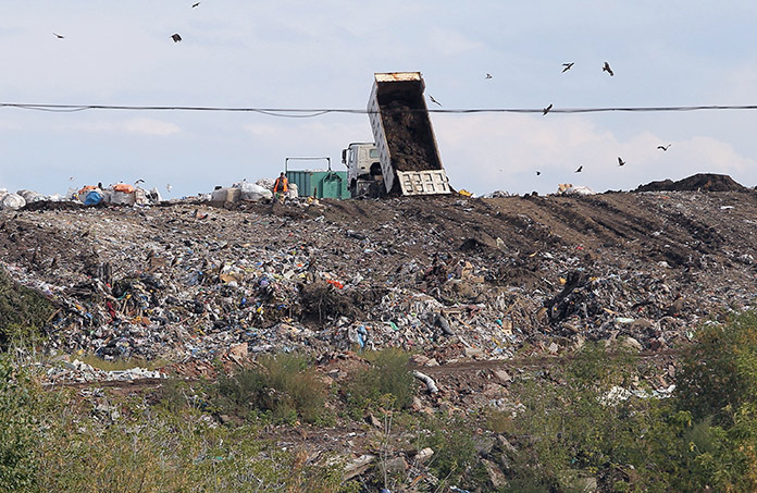 Приют для собак или мусорный полигон?