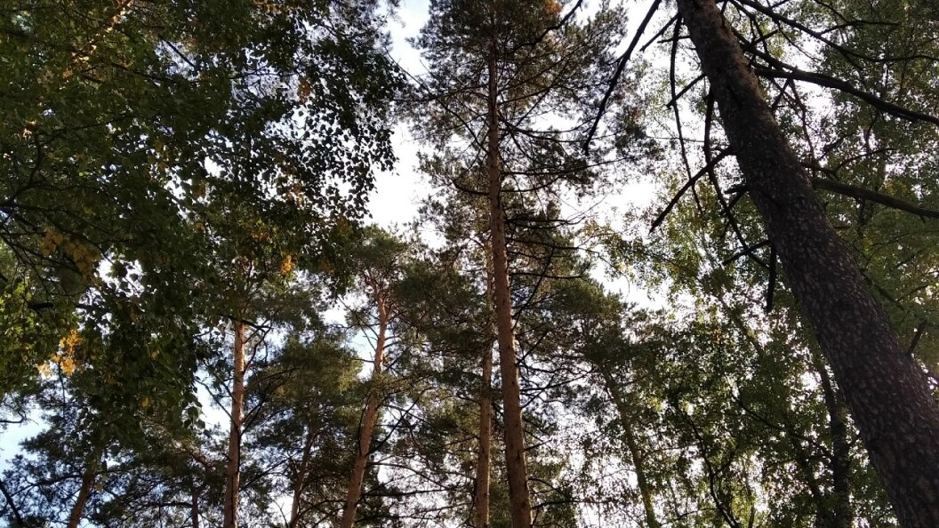    фото: царьград