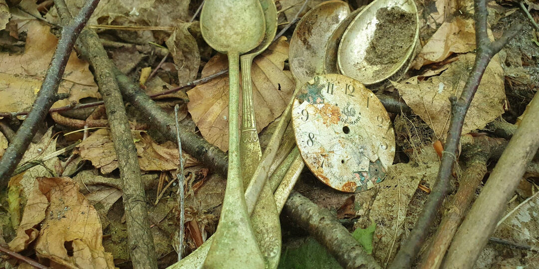 🔍 Лесная сокровищница