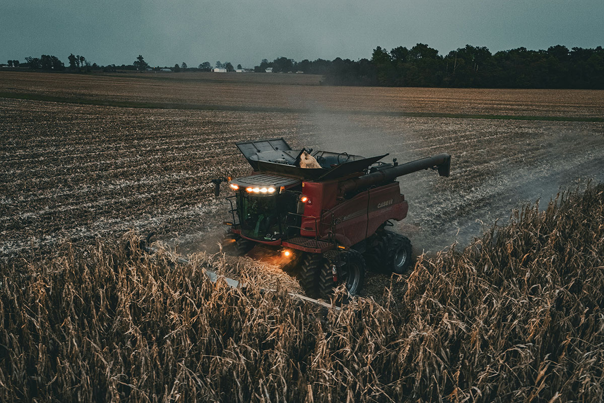    Фото: Noah Klimpel / Unsplash.com