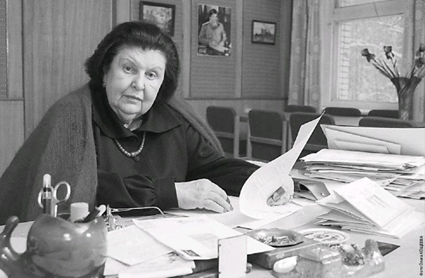 фото из интернета