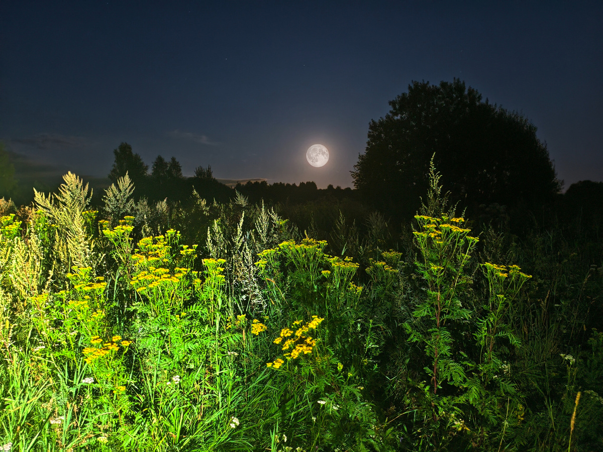 На покатушке 