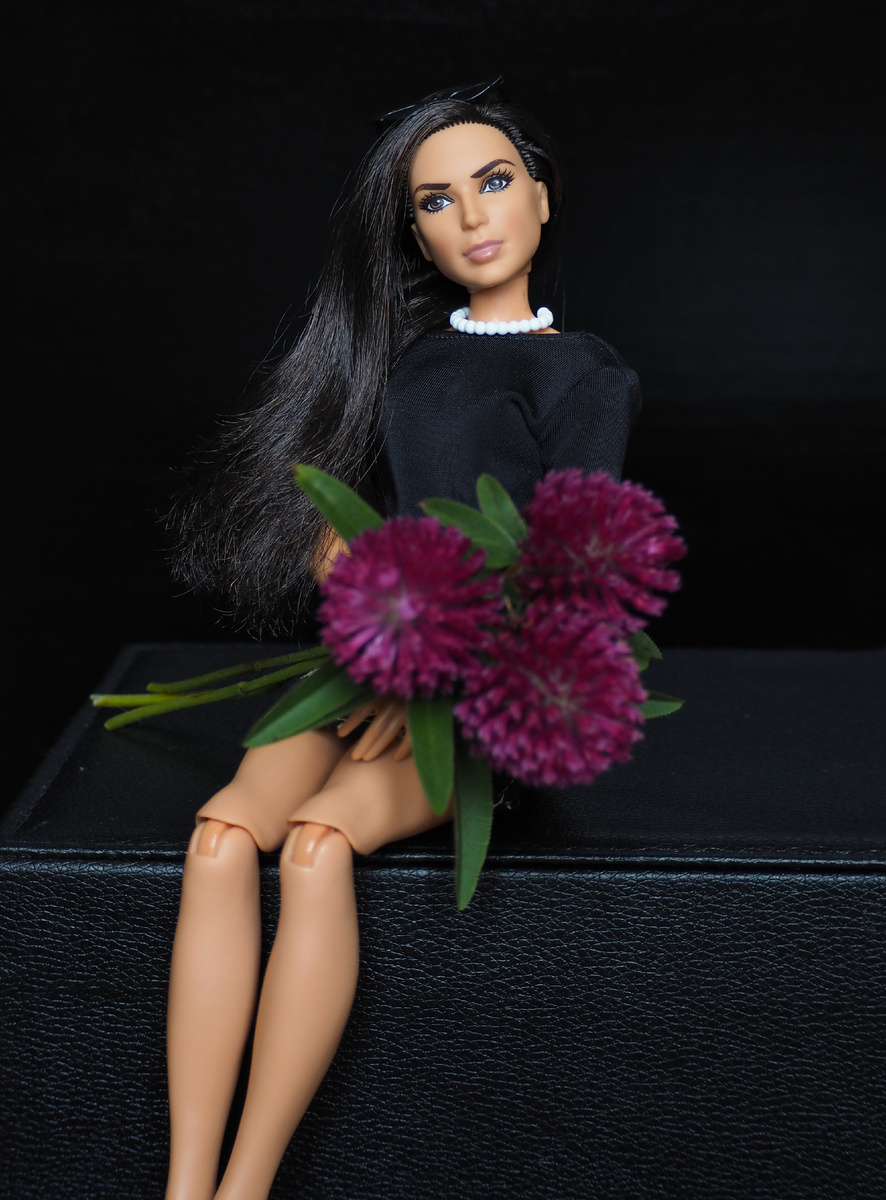 Диана Чудо-женщина.