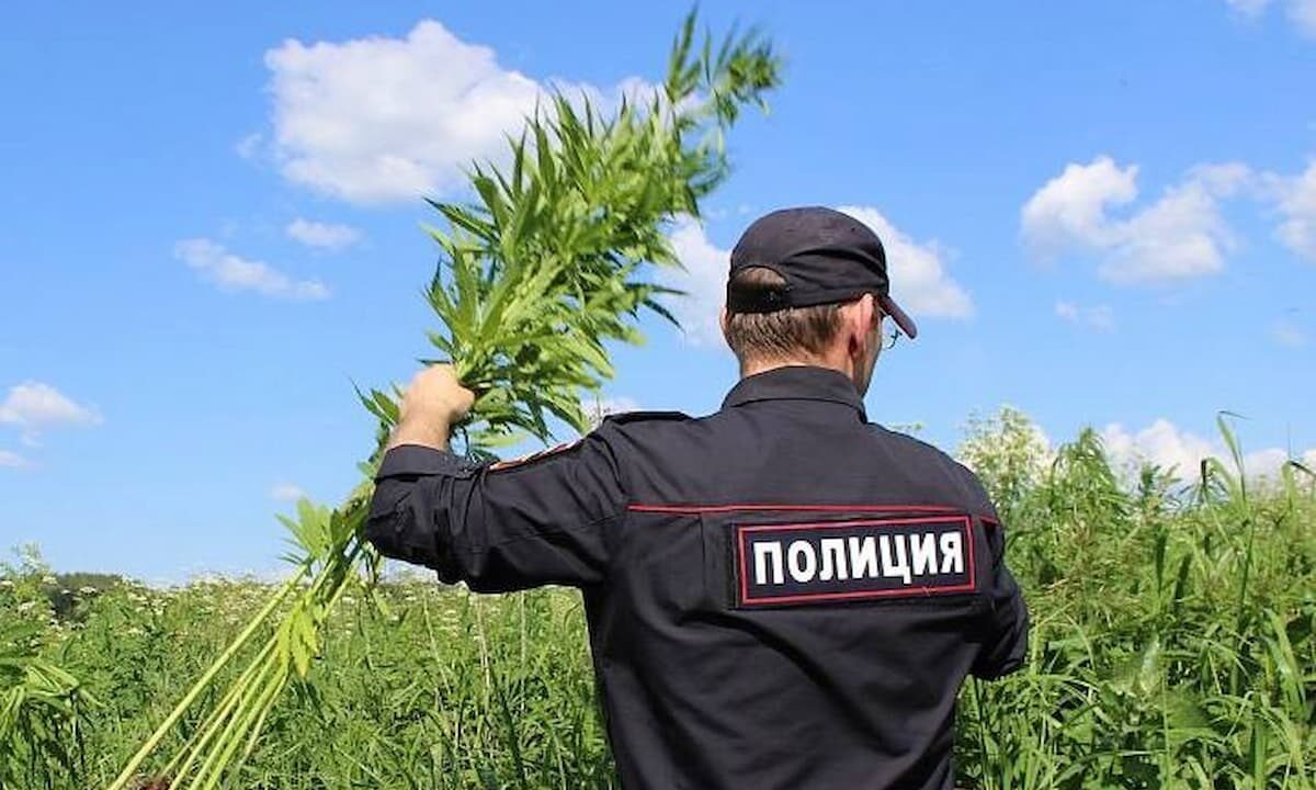    Фото пресс-службы администрации Краснодарского края