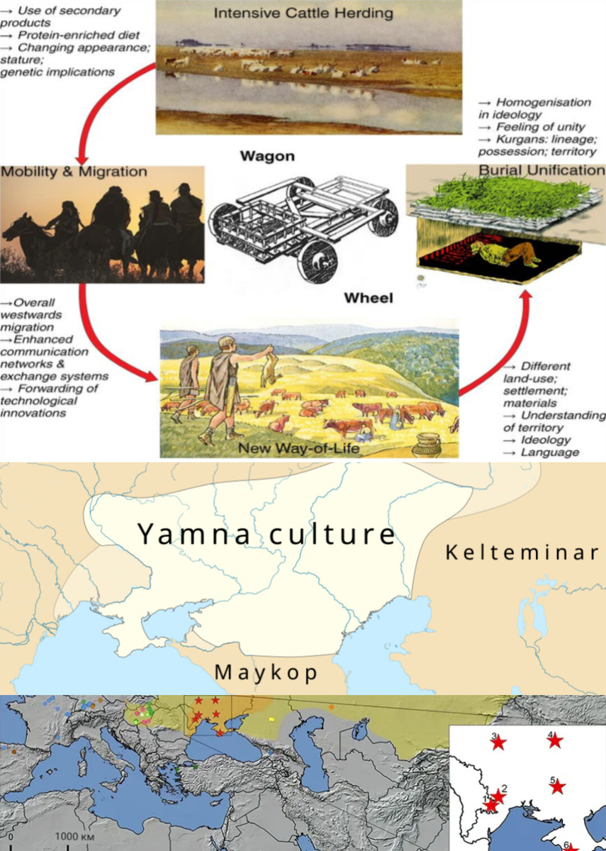 Ямная культура.Ареал: от нижнего Дуная и Причерноморья до Волги и предгорий Кавказа.Это огромный пояс евразийских степей (≈3300–2600 гг. до н.э.).По сути, она занимала почти весь «пояс степей» Восточной Европы.