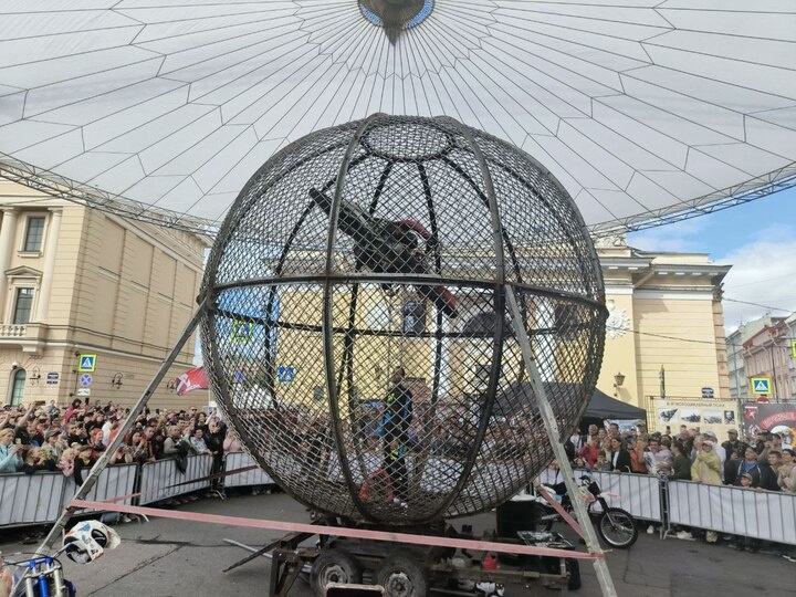     Фото: МК в Питере / Наталья Ефимова