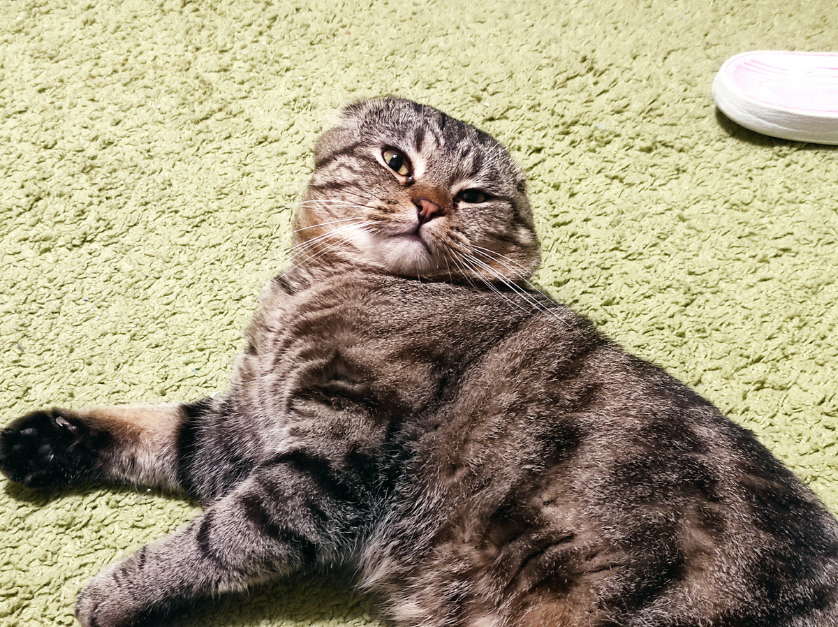 Лучше поздно, чем никогда 