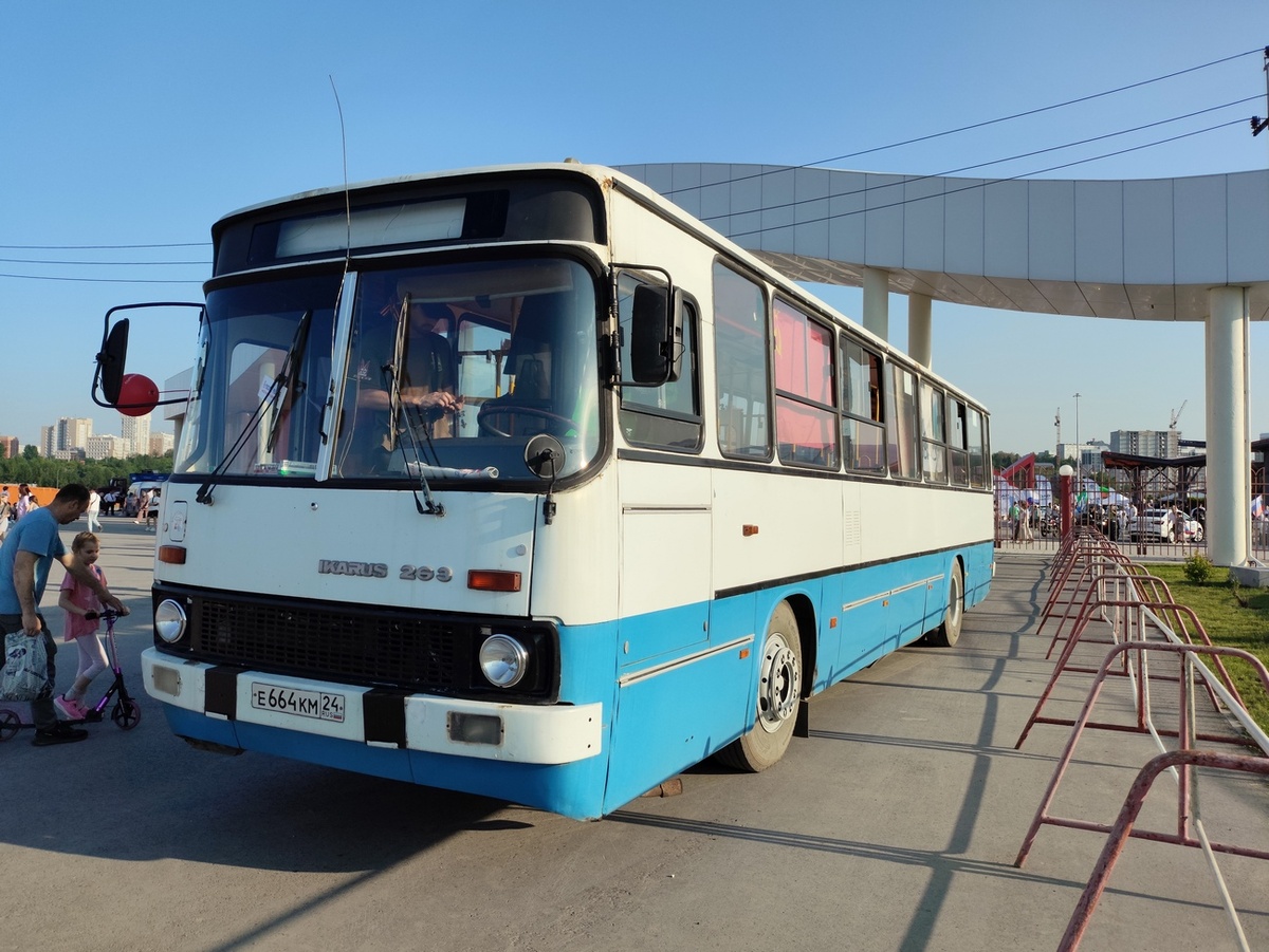 Улыбался в этом году на День города в Кемерово 12 июня. Фото собственное