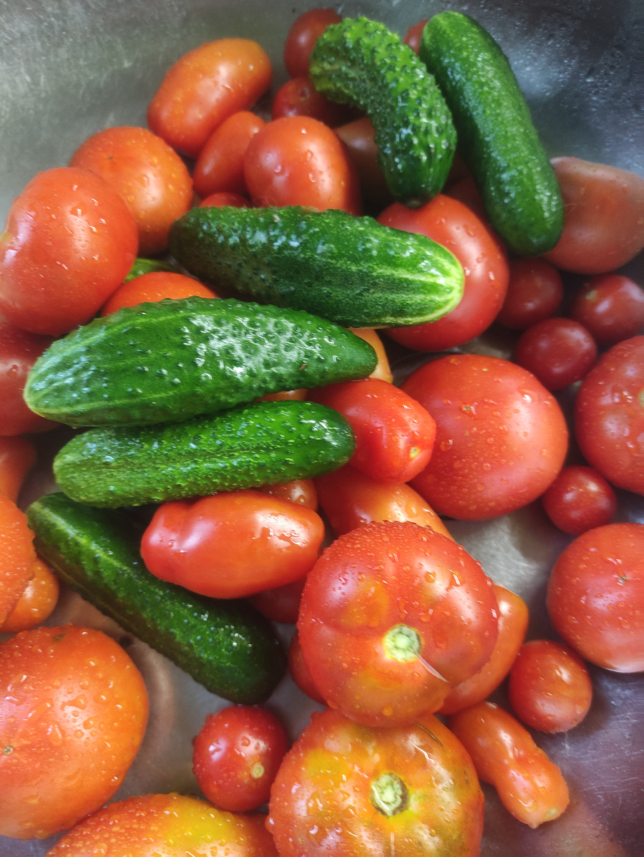 Сегодня консервировала помидоры и огурцы. Ссылки на рецепты оставлю в конце статьи.