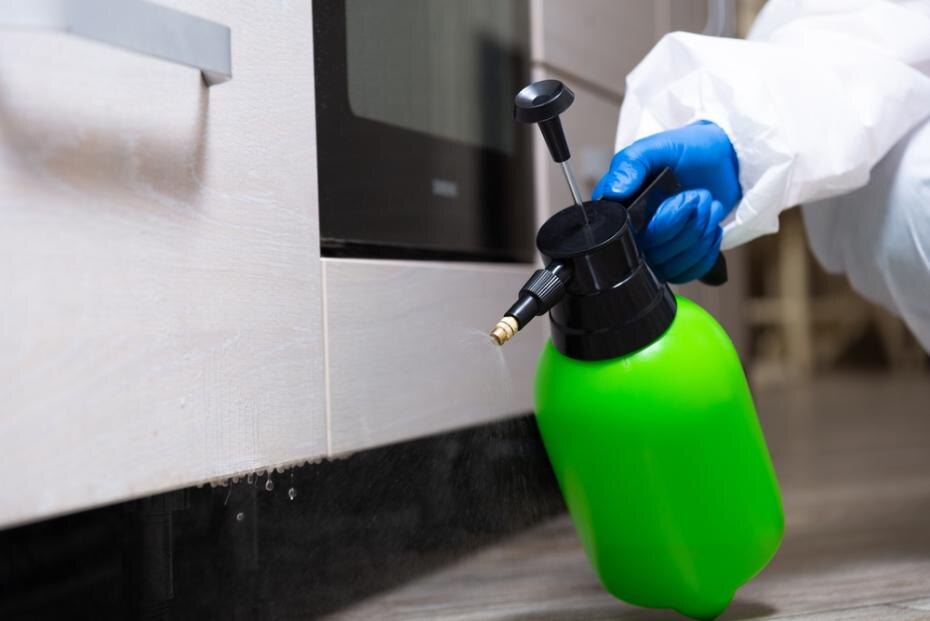    Shutterstock/FOTODOM