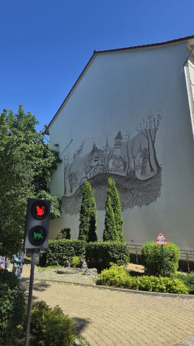 Кошачий светофор в Зеленоградске. Автор фото: Александр Мокин