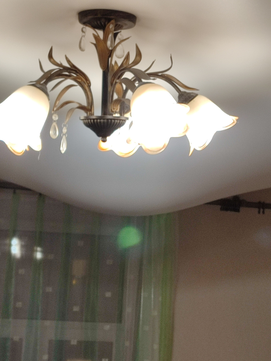 Водяной пузырь расположился между окном и люстрой 