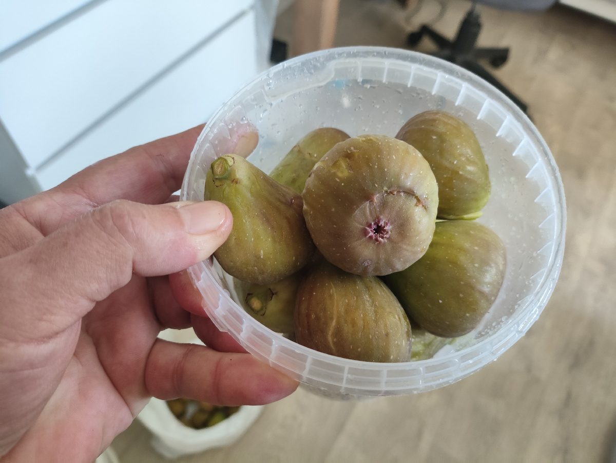 Ведерко отложила себе на поесть и в творожок, остальное заморозила.