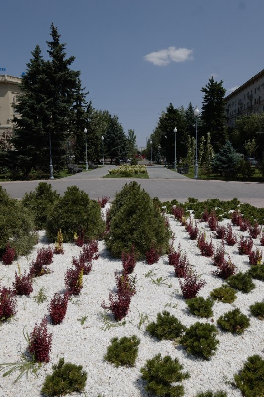 Невероятно бережно в этом городе относятся к зеленым насаждениям. Фото из архива автора