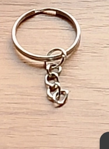 С этого брелка я взял кольцо.