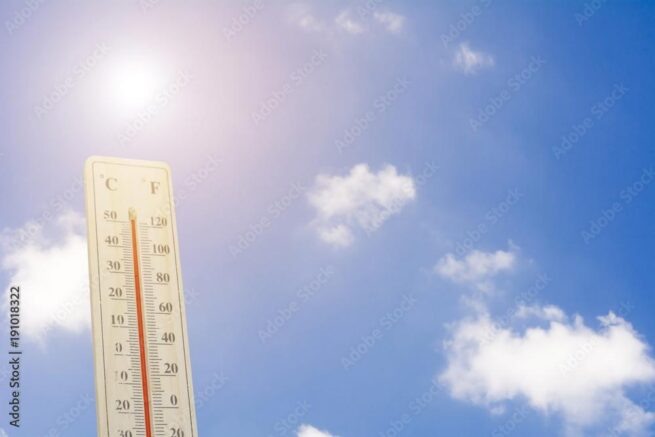    Фото: ipuwadol/stock.adobe.com