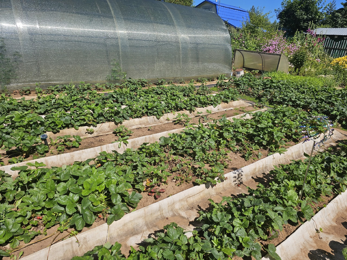 Фото: gorodkirov.ru