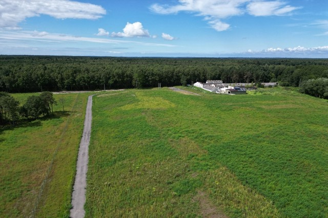   Фото: пресс-служба регионального правительства