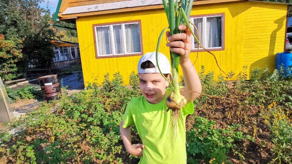 Выходные в саду (или на даче?)