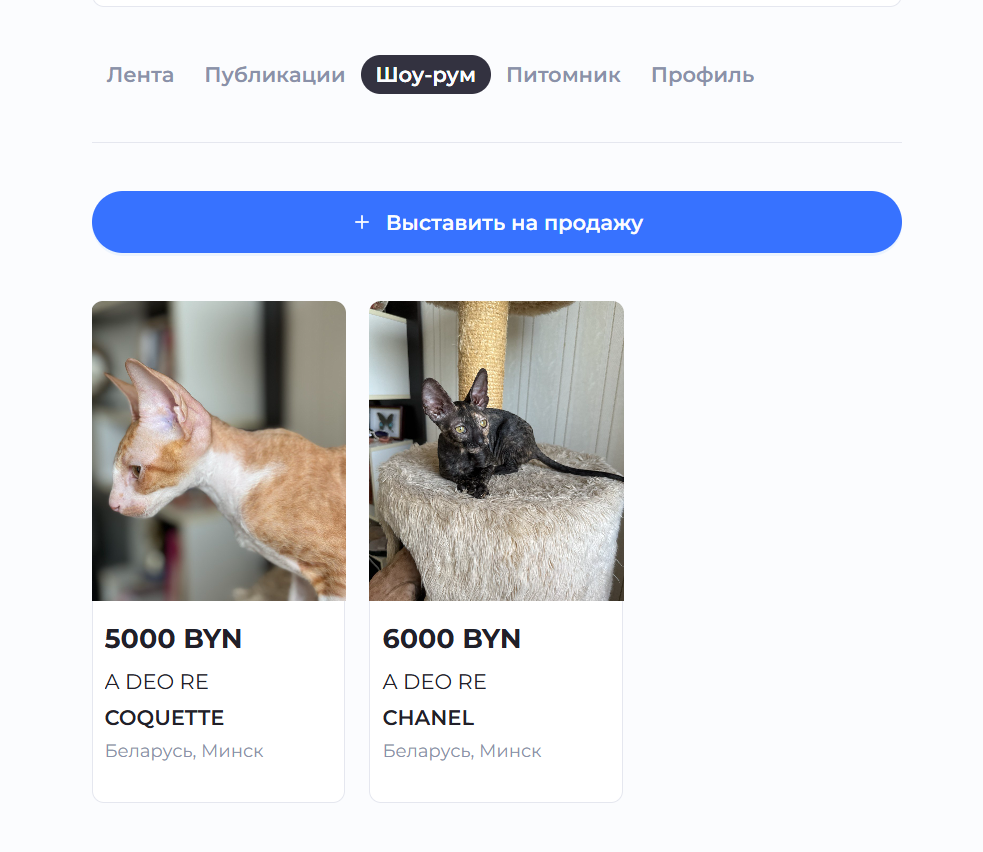 Добавление котёнка через Шоурум. Шоурум — это витрина именно вашего питомника: в аккаунте отображаются только ваши животные и товары. В отличие от Маркетплейса, где собраны предложения от разных продавцов