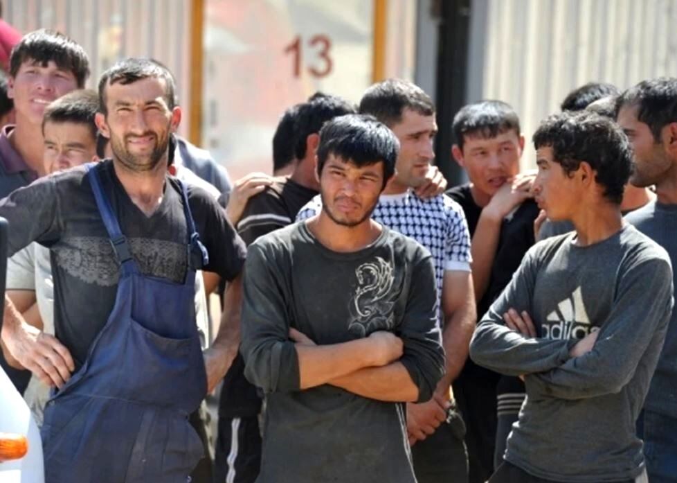 Иллюстрация из открытых источников 