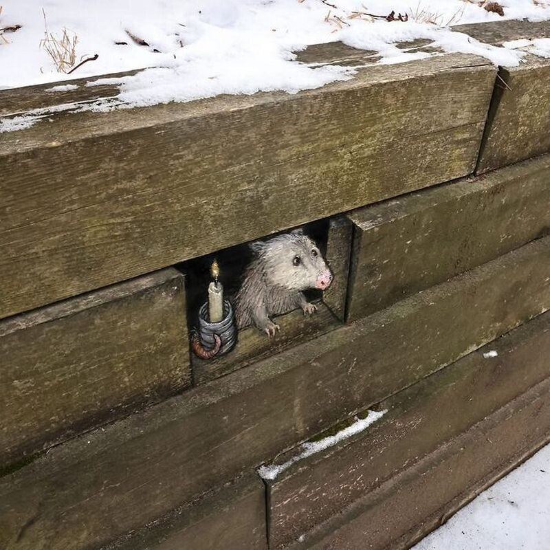    15 меловых шедевров: художник превращает трещины на тротуарах в сказочных персонажей
