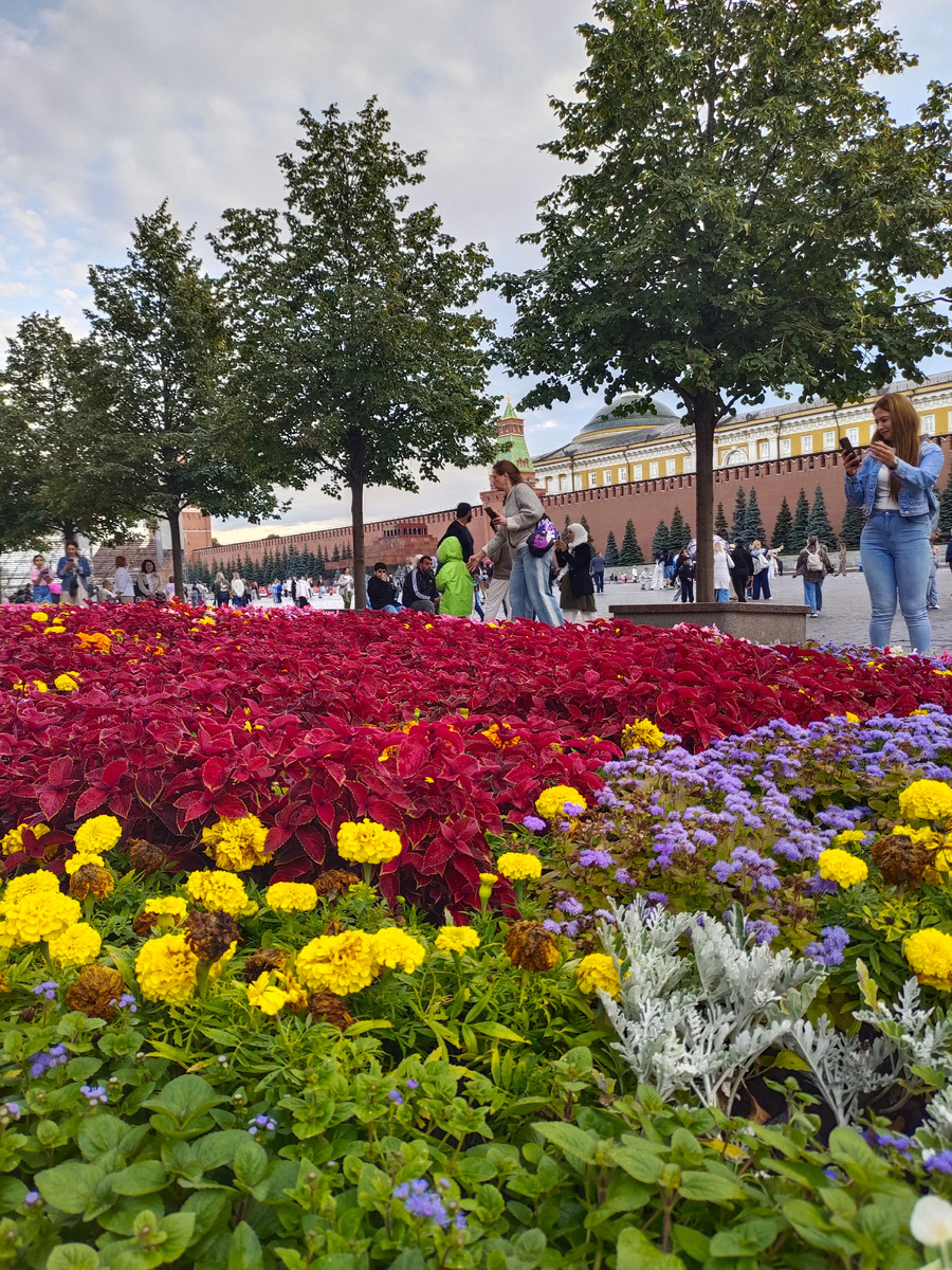 Цветочный Джем перед ГУМом