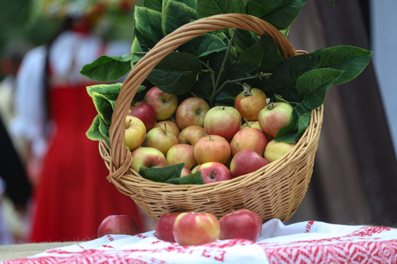    Фото: Андрей Титов/Globallookpress.
