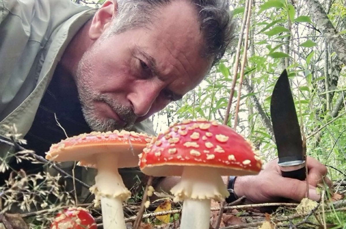    Куда сходить за грибами в Ленобласти?