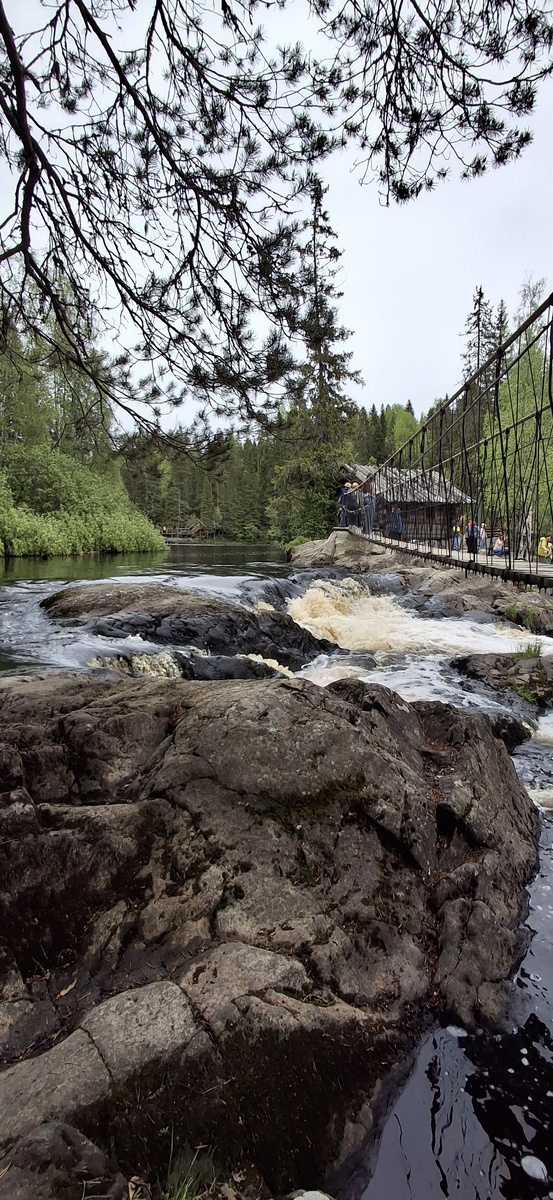 Поездка в Карелию. Фото из личного архива 