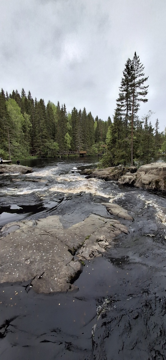 Природа в Карелии. Фото из личного архива 
