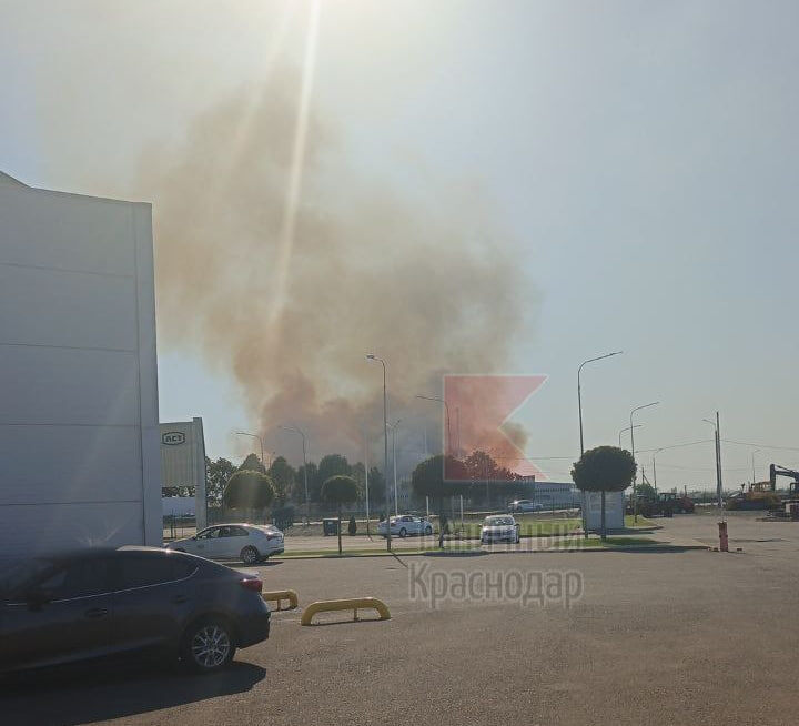    Фото: соцсети