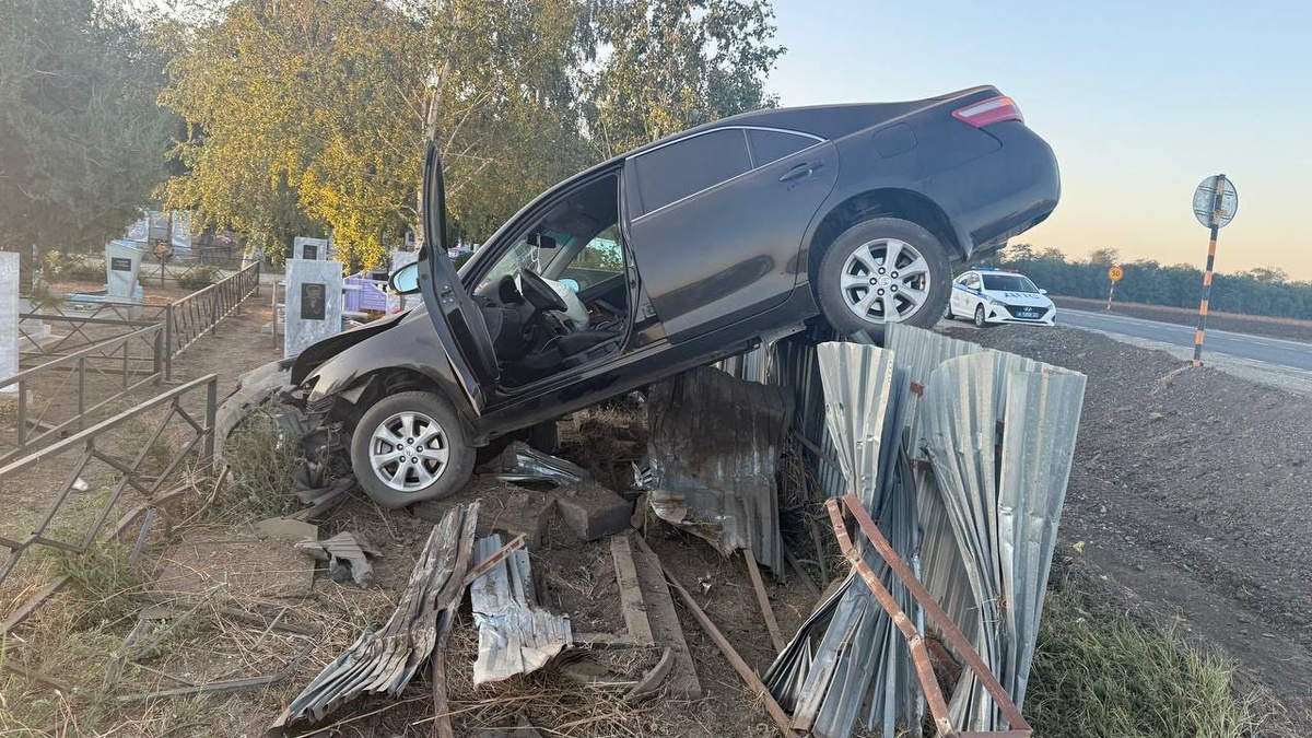    Фото: пресс-служба МВД по Краснодарскому краю