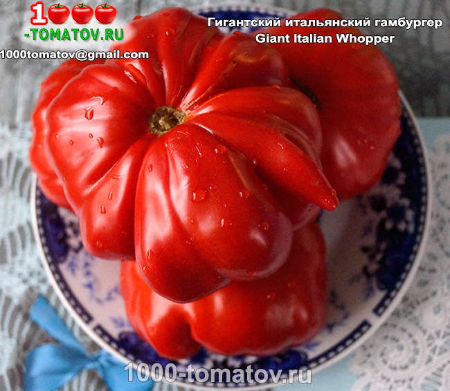 Томат Гигантский итальянский гамбургер Giant Italian Whopper фото 3