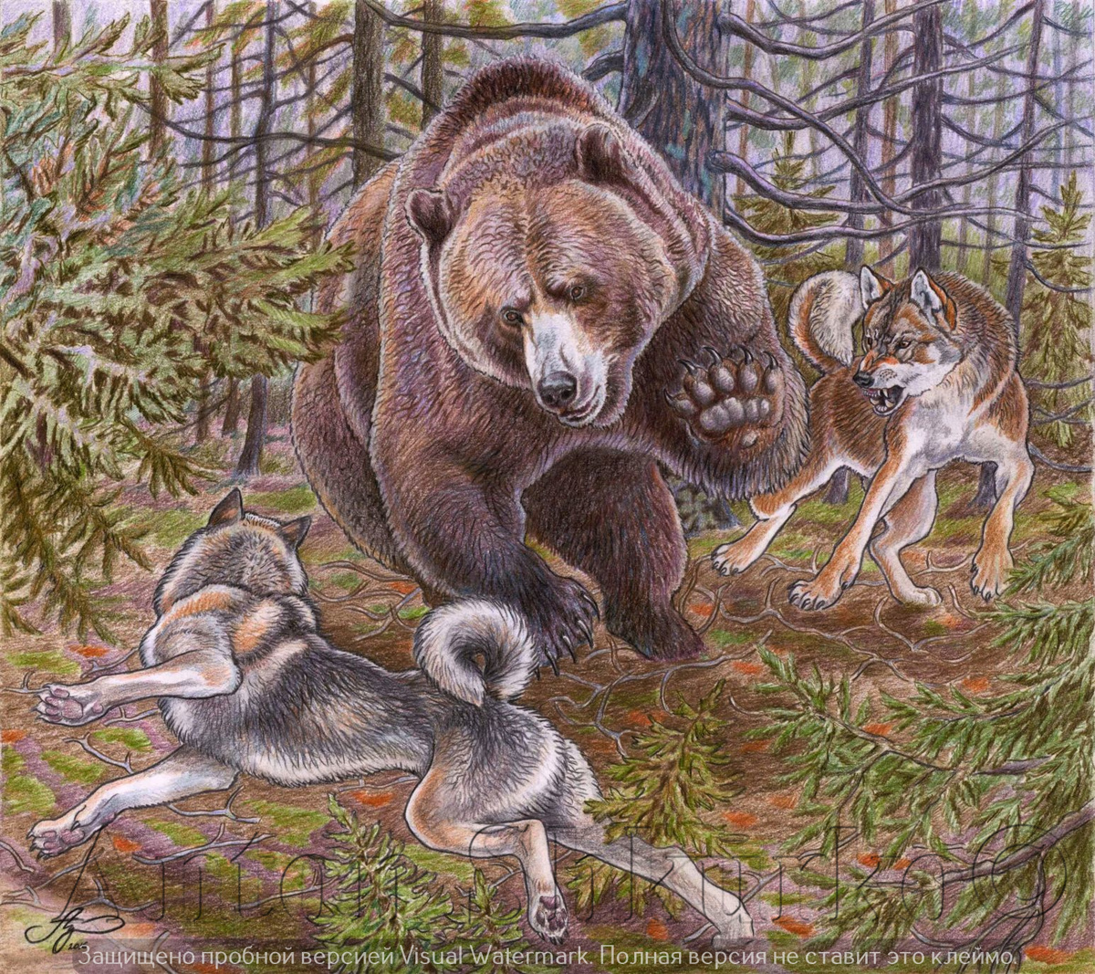 «Лайки работают по медведю» графика. Цветной карандаш, бумага. Размер оригинала 330х370. 