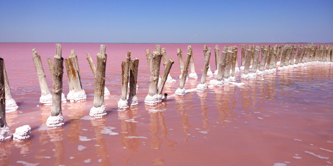 5 розовых озёр России, которые кажутся пейзажем с другой планеты