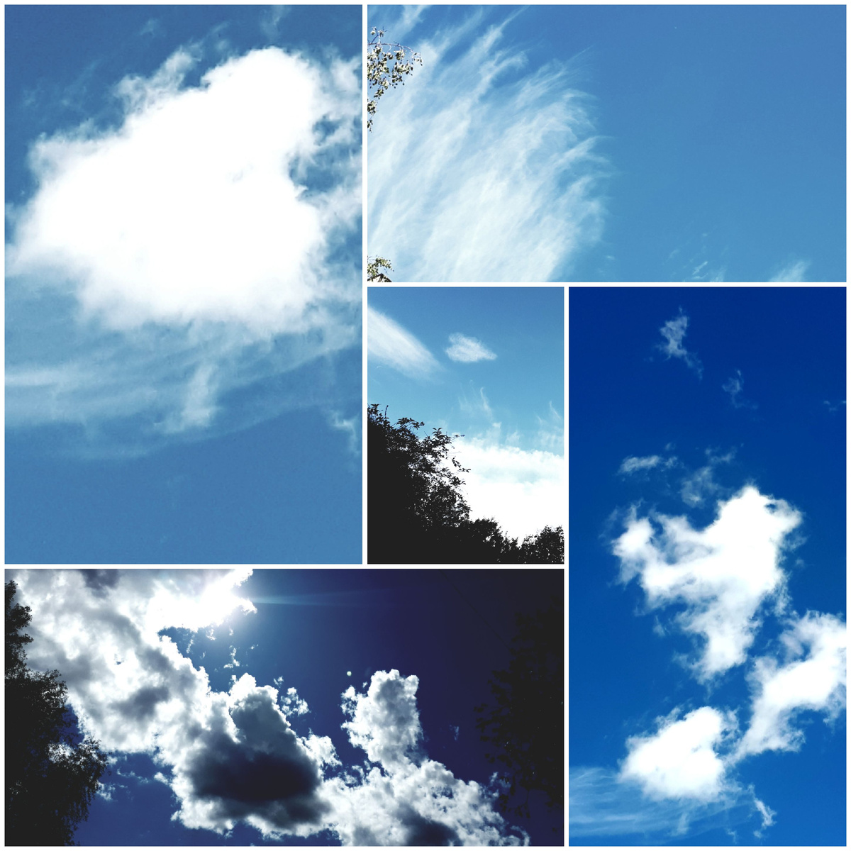 Коллаж автора 17.08.2025г.