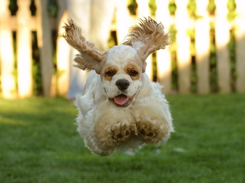 Уступите маленькому!