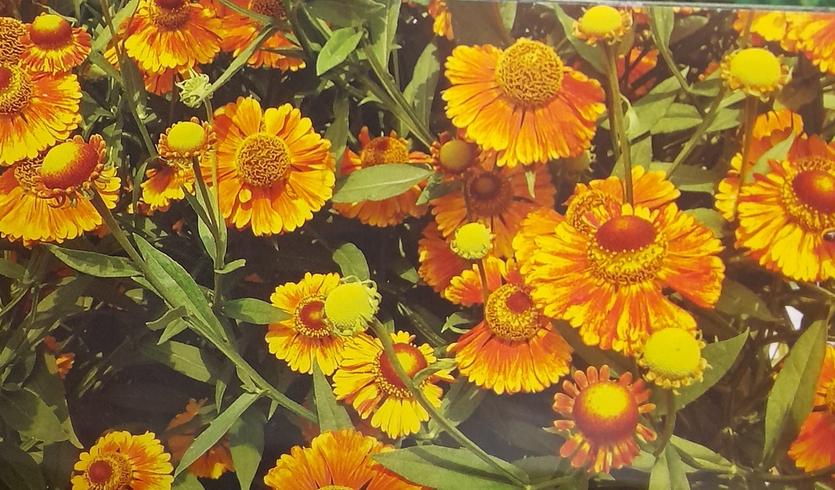 Фото автора канала