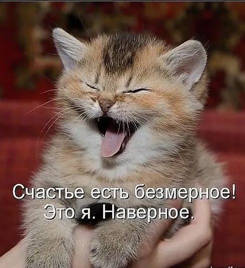 Для хорошего настроения!