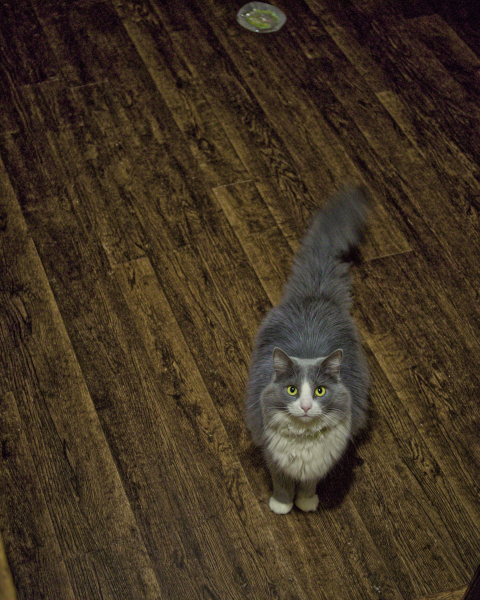 Сделано на моём акк. в Midjourney