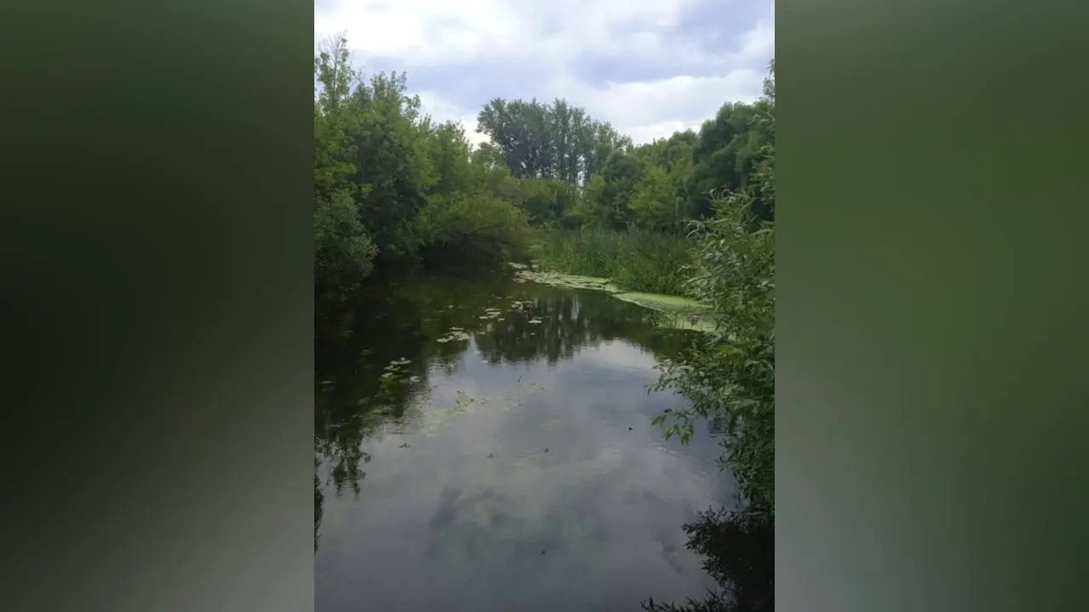    51-летний мужчина утонул в Беловском районе Курской области