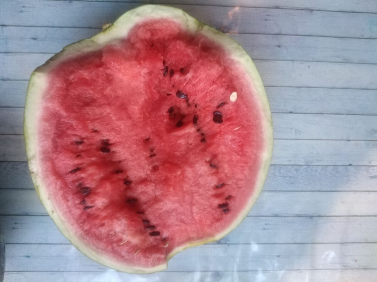 Фото автора.