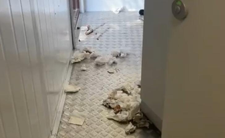    Кадр из видео тг-канала Александра Михайлова.