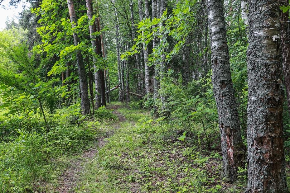    Сергей Булкин/NEWS.ru