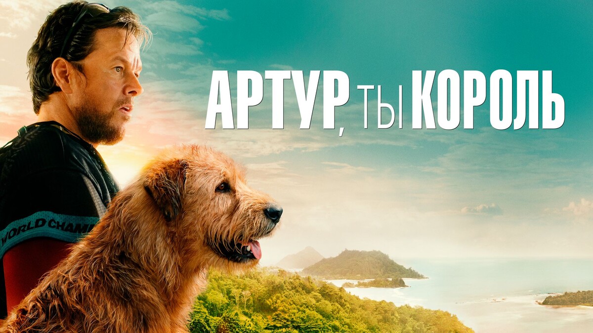 Кинопоиск 8,2/ IMDB 7,0