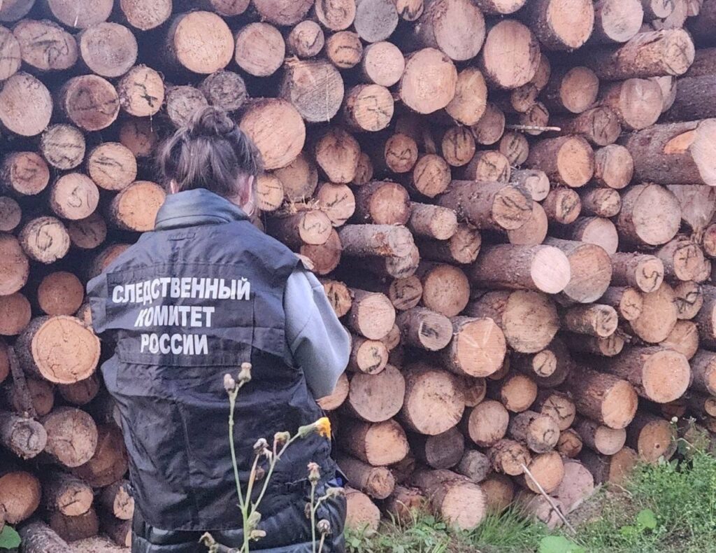    Фото: СУ СК России по Пермскому краю Ольга Гилёва