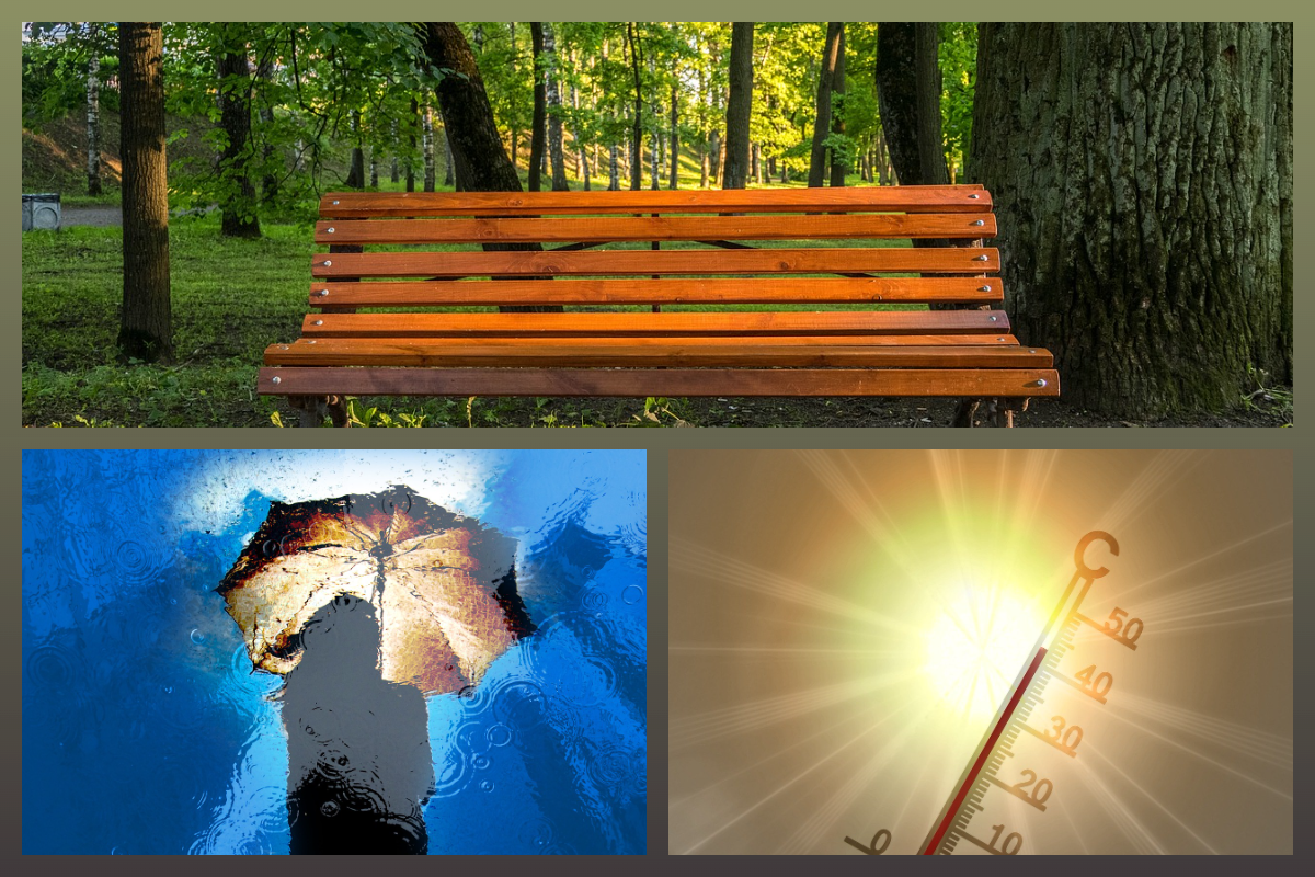 pixabay.com