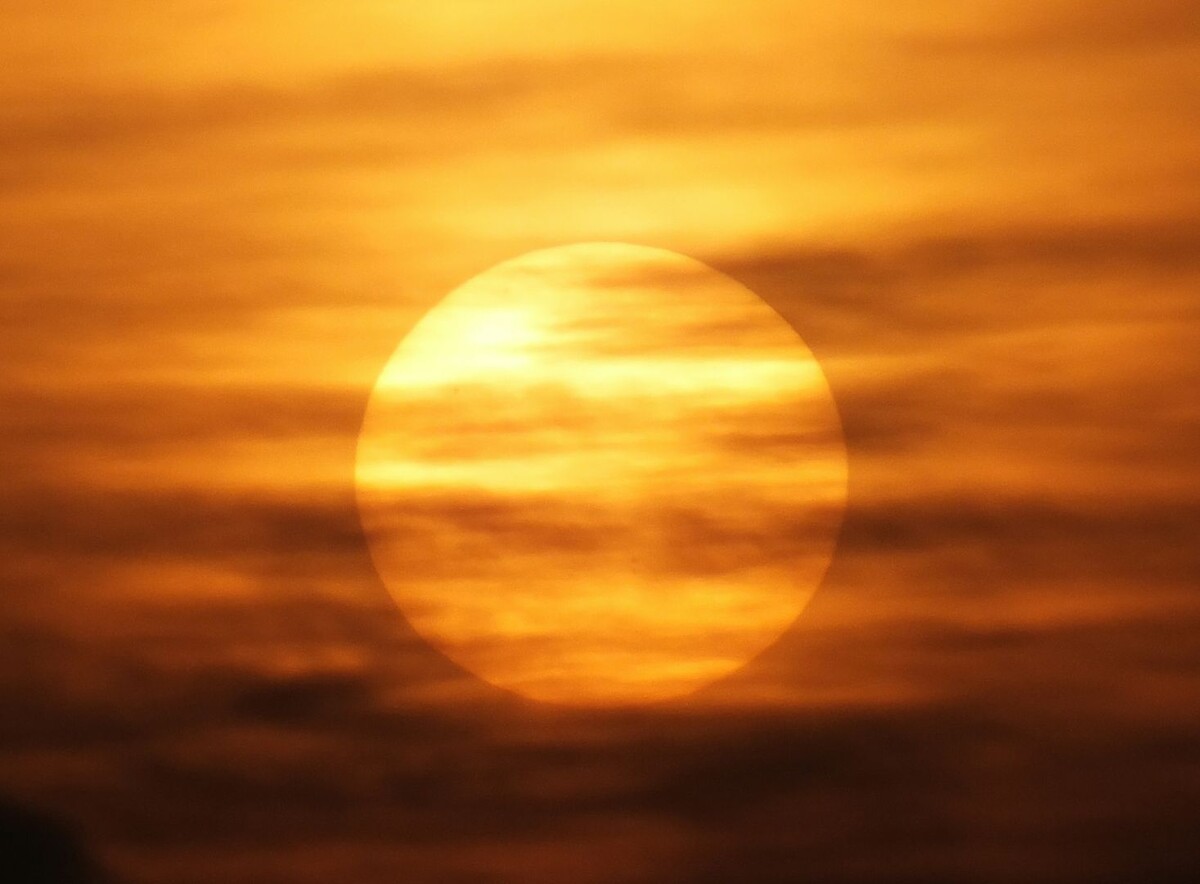     / Источник: © Global Look Press