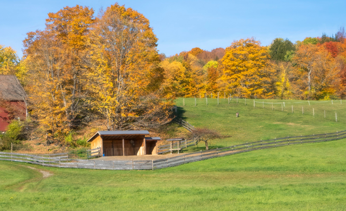 Хозблок на участке